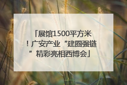展馆1500平方米！广安产业“建圈强链”精彩亮相西博会