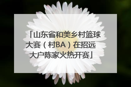 山东省和美乡村篮球大赛（村BA）在招远大户陈家火热开赛