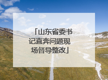 山东省委书记直奔问题现场督导整改