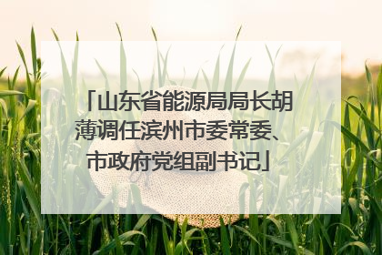 山东省能源局局长胡薄调任滨州市委常委、市政府党组副书记