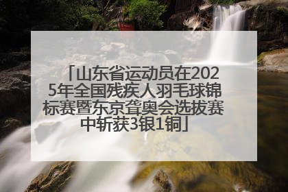 山东省运动员在2025年全国残疾人羽毛球锦标赛暨东京聋奥会选拔赛中斩获3银1铜