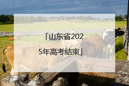山东省2025年高考结束
