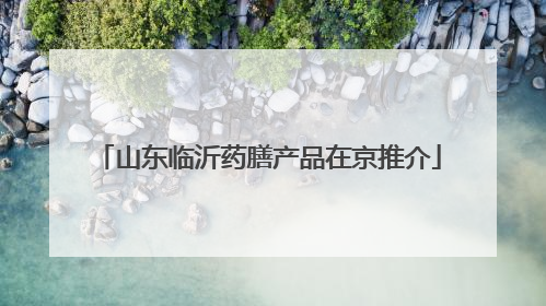 山东临沂药膳产品在京推介