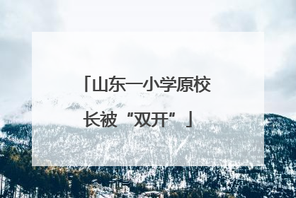 山东一小学原校长被“双开”