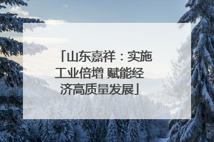 山东嘉祥：实施工业倍增 赋能经济高质量发展