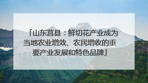山东莒县：鲜切花产业成为当地农业增效、农民增收的重要产业发展和特色品牌
