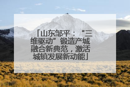 山东邹平：“三维驱动”锻造产城融合新典范，激活城镇发展新动能