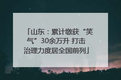 山东：累计缴获“笑气”30余万升 打击治理力度居全国前列