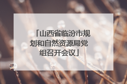 山西省临汾市规划和自然资源局党组召开会议