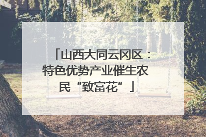 山西大同云冈区：特色优势产业催生农民“致富花”