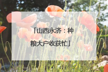 山西永济：种粮大户收获忙