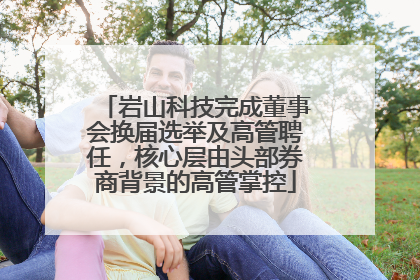 岩山科技完成董事会换届选举及高管聘任，核心层由头部券商背景的高管掌控