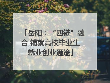 岳阳：“四链”融合 铺就高校毕业生就业创业通途