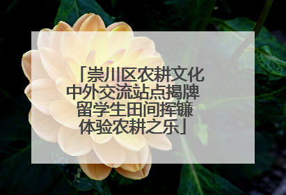崇川区农耕文化中外交流站点揭牌 留学生田间挥镰体验农耕之乐
