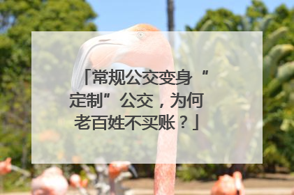 常规公交变身“定制”公交，为何老百姓不买账？