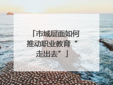 市域层面如何推动职业教育“走出去”