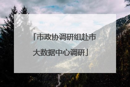 市政协调研组赴市大数据中心调研