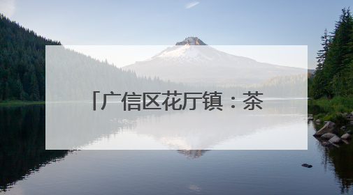 广信区花厅镇：茶香飘出致富路 绿水青山绘新篇（图）