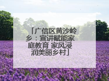 广信区黄沙岭乡：宣讲赋能家庭教育 家风浸润美丽乡村