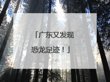 广东又发现恐龙足迹！