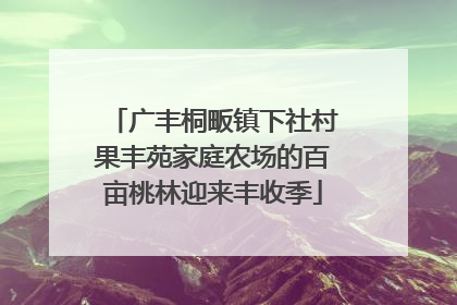 广丰桐畈镇下社村果丰苑家庭农场的百亩桃林迎来丰收季