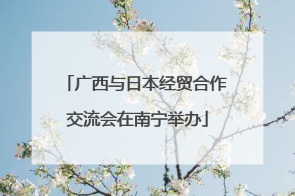 广西与日本经贸合作交流会在南宁举办