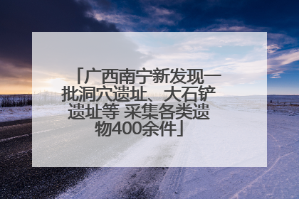 广西南宁新发现一批洞穴遗址、大石铲遗址等 采集各类遗物400余件
