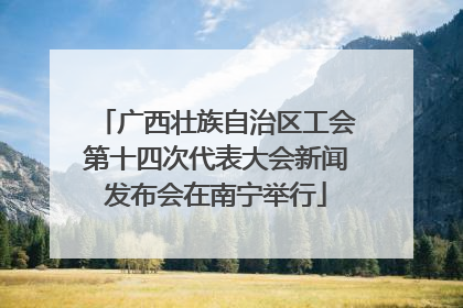 广西壮族自治区工会第十四次代表大会新闻发布会在南宁举行