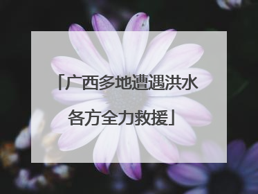 广西多地遭遇洪水 各方全力救援