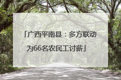 广西平南县：多方联动为66名农民工讨薪