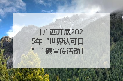 广西开展2025年“世界认可日”主题宣传活动