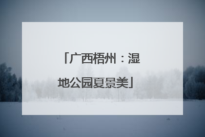 广西梧州：湿地公园夏景美