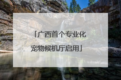 广西首个专业化宠物候机厅启用