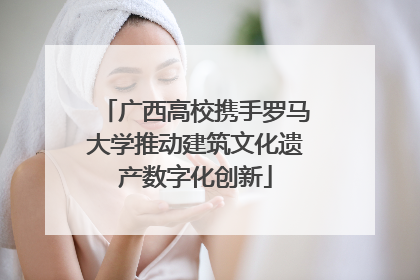 广西高校携手罗马大学推动建筑文化遗产数字化创新