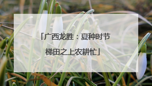 广西龙胜：夏种时节 梯田之上农耕忙
