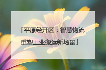 平原经开区：智慧物流重塑工业搬运新场景