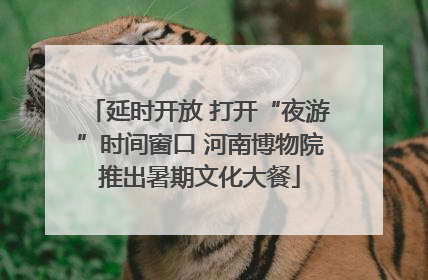 延时开放 打开“夜游”时间窗口 河南博物院推出暑期文化大餐