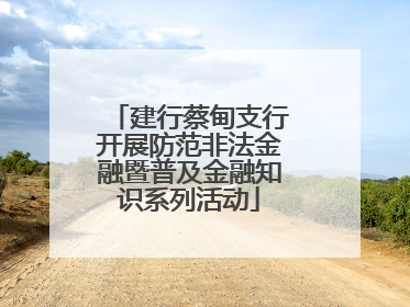 建行蔡甸支行开展防范非法金融暨普及金融知识系列活动