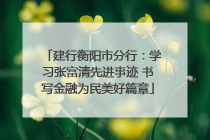 建行衡阳市分行：学习张富清先进事迹 书写金融为民美好篇章