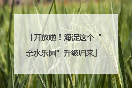 开放啦！海淀这个“亲水乐园”升级归来