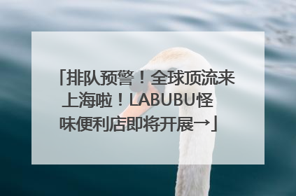 排队预警！全球顶流来上海啦！LABUBU怪味便利店即将开展→