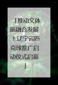 推动文体旅融合发展！辽宁省匹克球推广启动仪式启幕