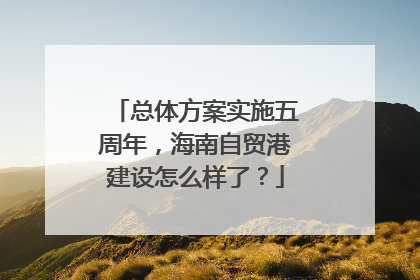 总体方案实施五周年，海南自贸港建设怎么样了？