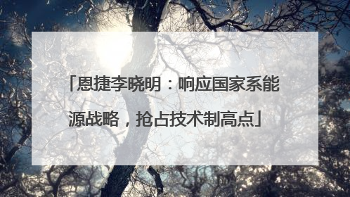 恩捷李晓明：响应国家系能源战略，抢占技术制高点