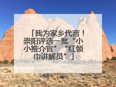 我为家乡代言！崇阳评选一批“小小推介官”“红领巾讲解员”