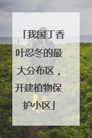 我国丁香叶忍冬的最大分布区，开建植物保护小区