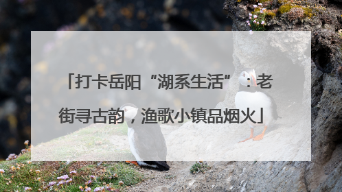 打卡岳阳“湖系生活”：老街寻古韵，渔歌小镇品烟火