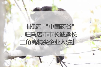打造 “中国药谷”，驻马店市市长诚邀长三角高精尖企业入驻