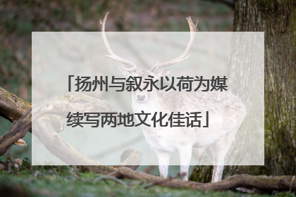 扬州与叙永以荷为媒续写两地文化佳话