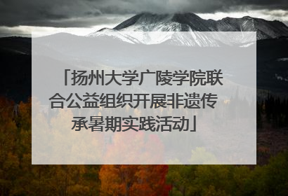 扬州大学广陵学院联合公益组织开展非遗传承暑期实践活动